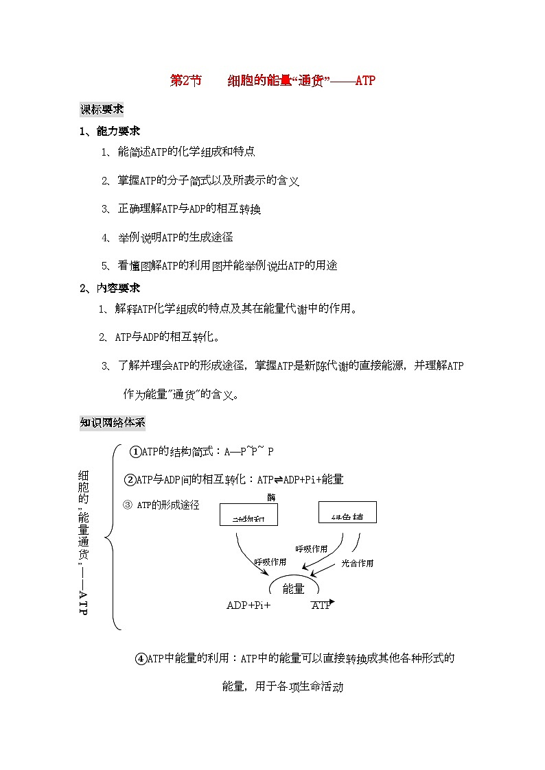 2022年高三生物一轮复习细胞的能量通货ATP教学案新人教版必修1第1页