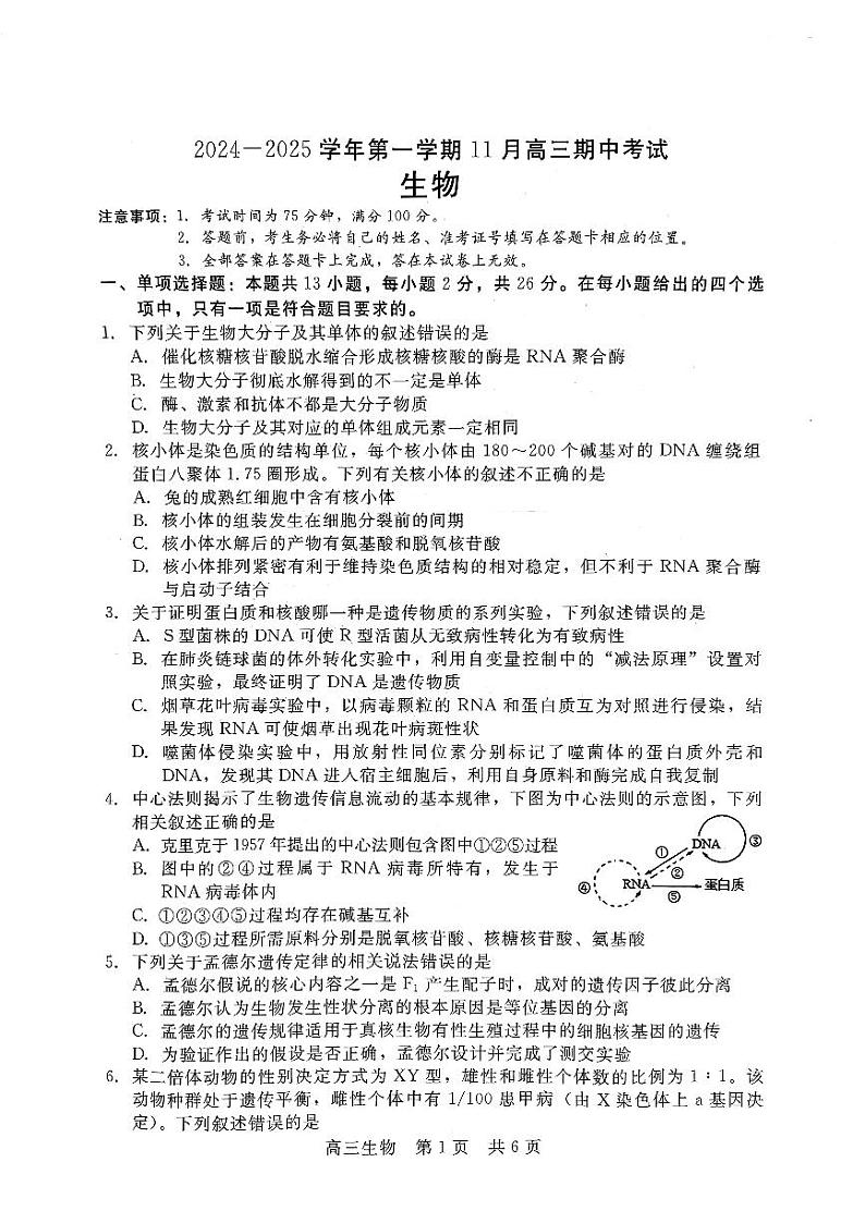2024-2025学年第一学期11月高三生物第1页
