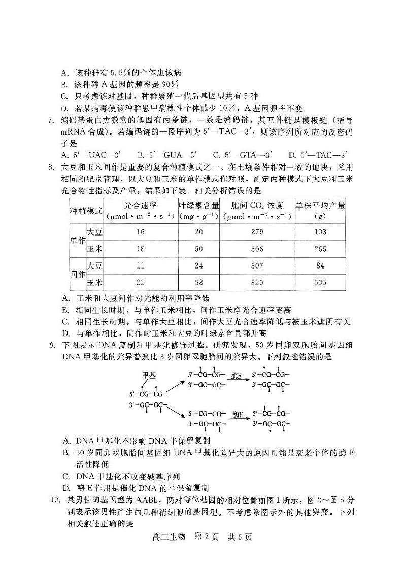 2024-2025学年第一学期11月高三生物第2页