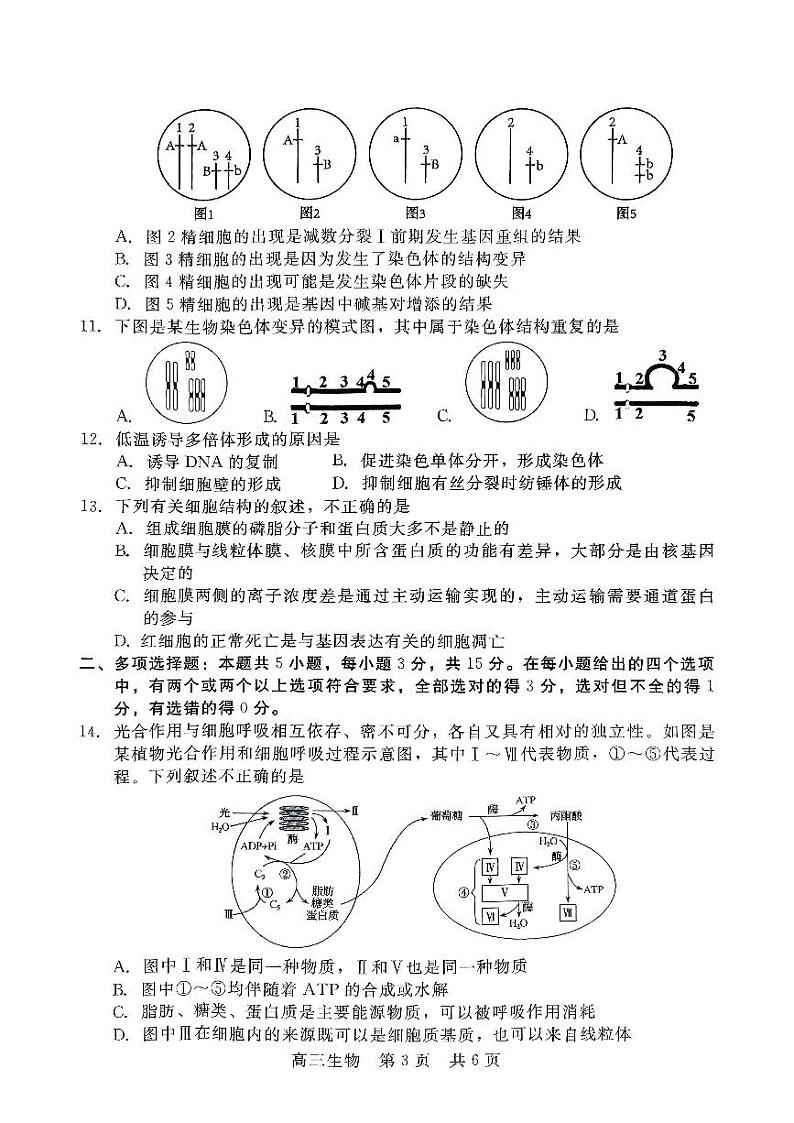 2024-2025学年第一学期11月高三生物第3页