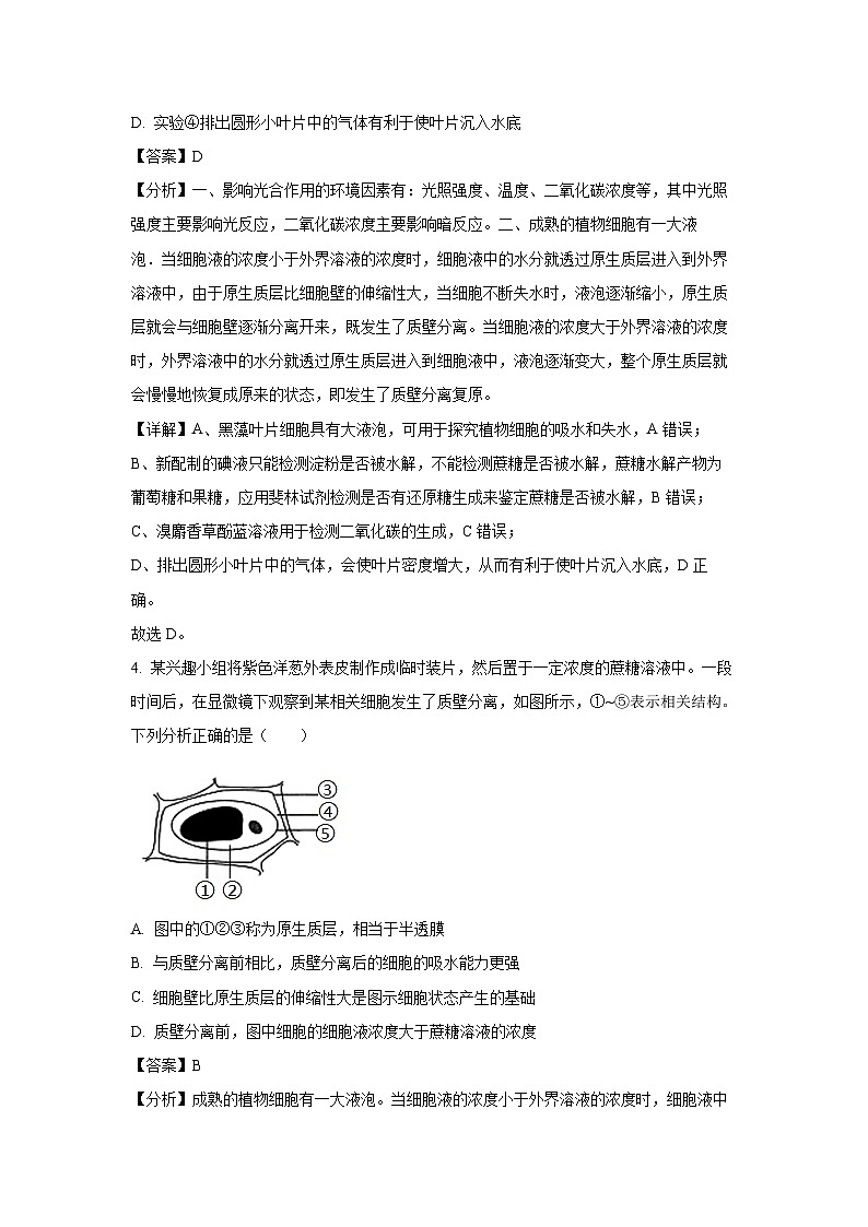 河北省邢台市之间联盟2024-2025学年高三上学期第一次月考(10月)生物试卷(解析版)第3页