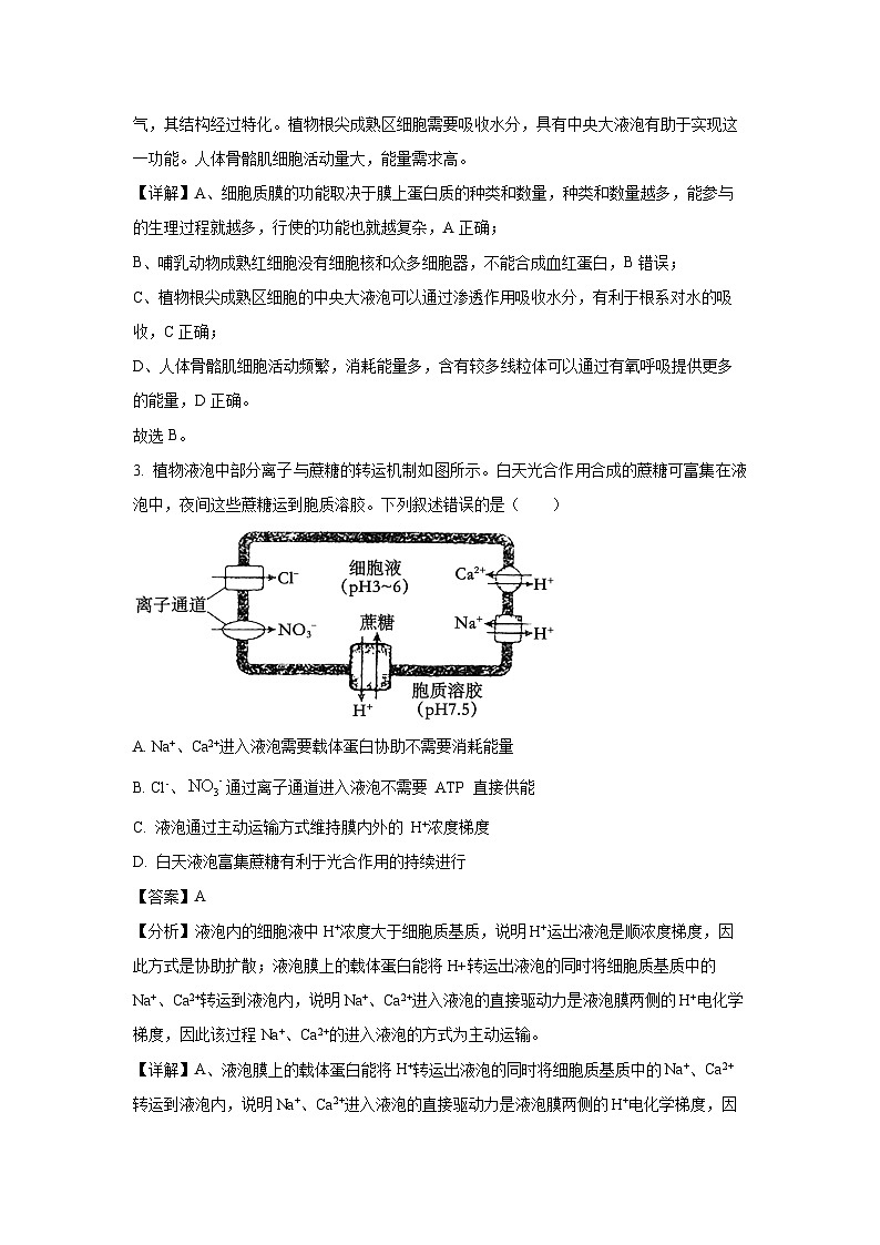 江苏省扬州市高邮市2024-2025学年高三上学期10月月考生物试卷(解析版)第2页