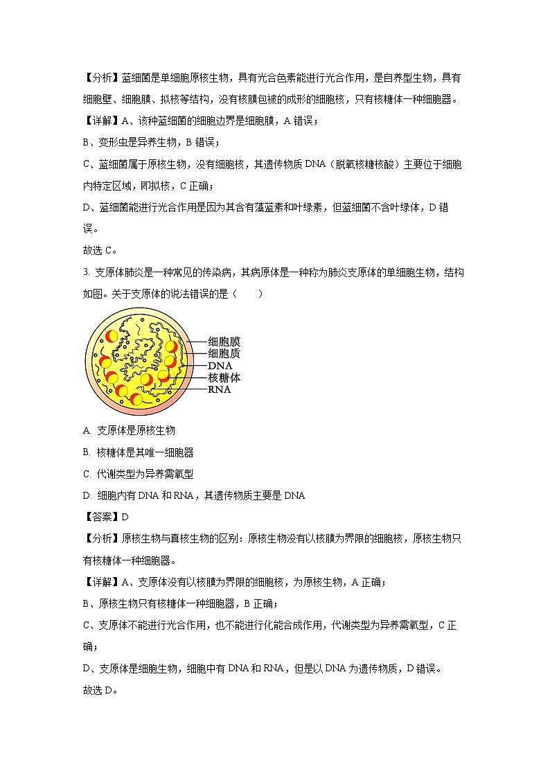 四川省内江市某校2024-2025学年高三上学期9月月考生物试卷(解析版)第2页