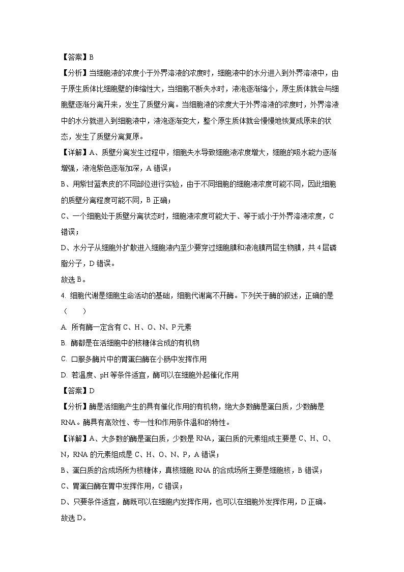 福建省百校2024-2025学年高三上学期10月测评生物试卷(解析版)03