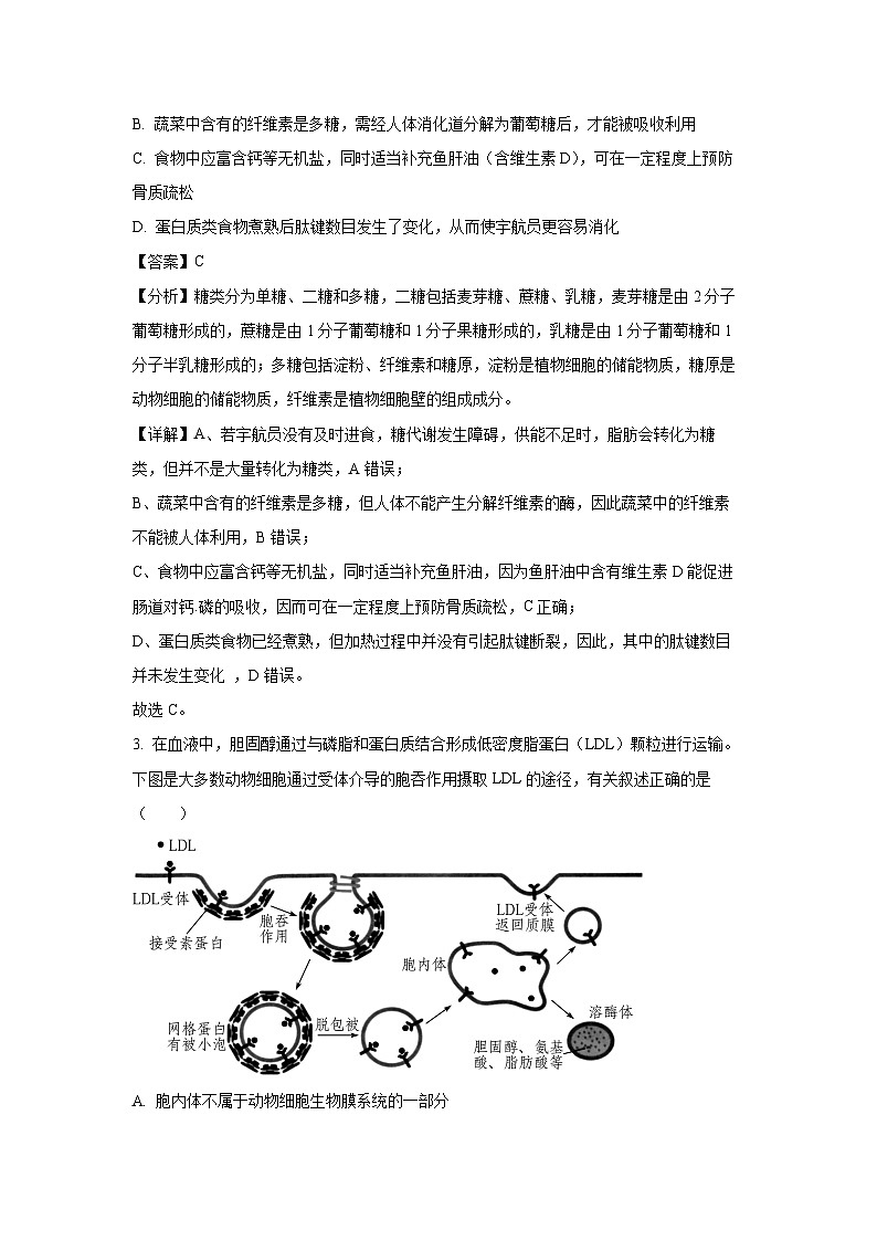 辽宁省沈阳市郊联体2024-2025学年高三上学期10月月考生物试卷(解析版)02