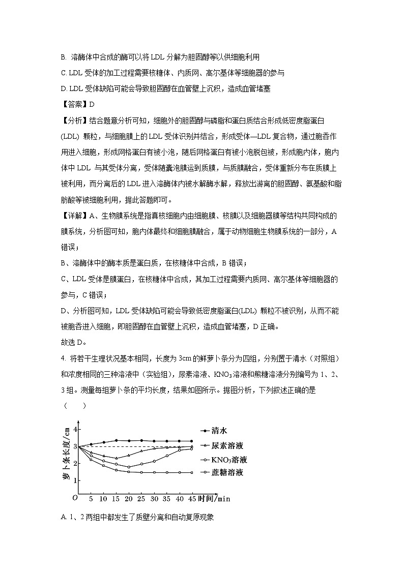 辽宁省沈阳市郊联体2024-2025学年高三上学期10月月考生物试卷(解析版)03