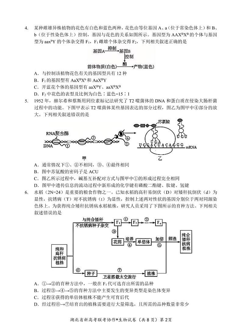 2024年高三起点考试生物试卷第2页