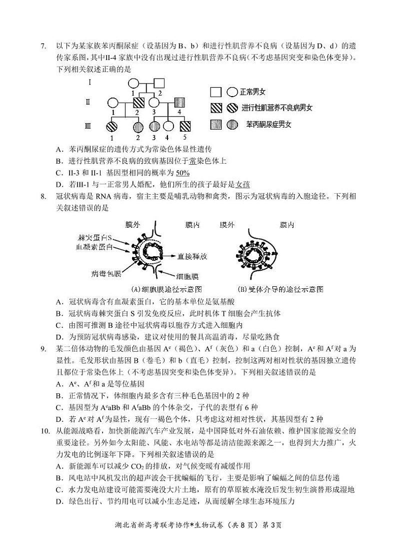 2024年高三起点考试生物试卷第3页
