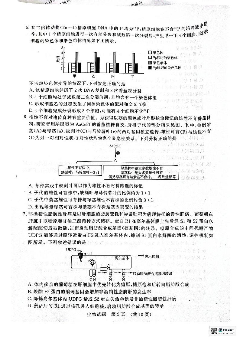 山东省济南市2024-2025学年高三上学期9月开学生物试题02