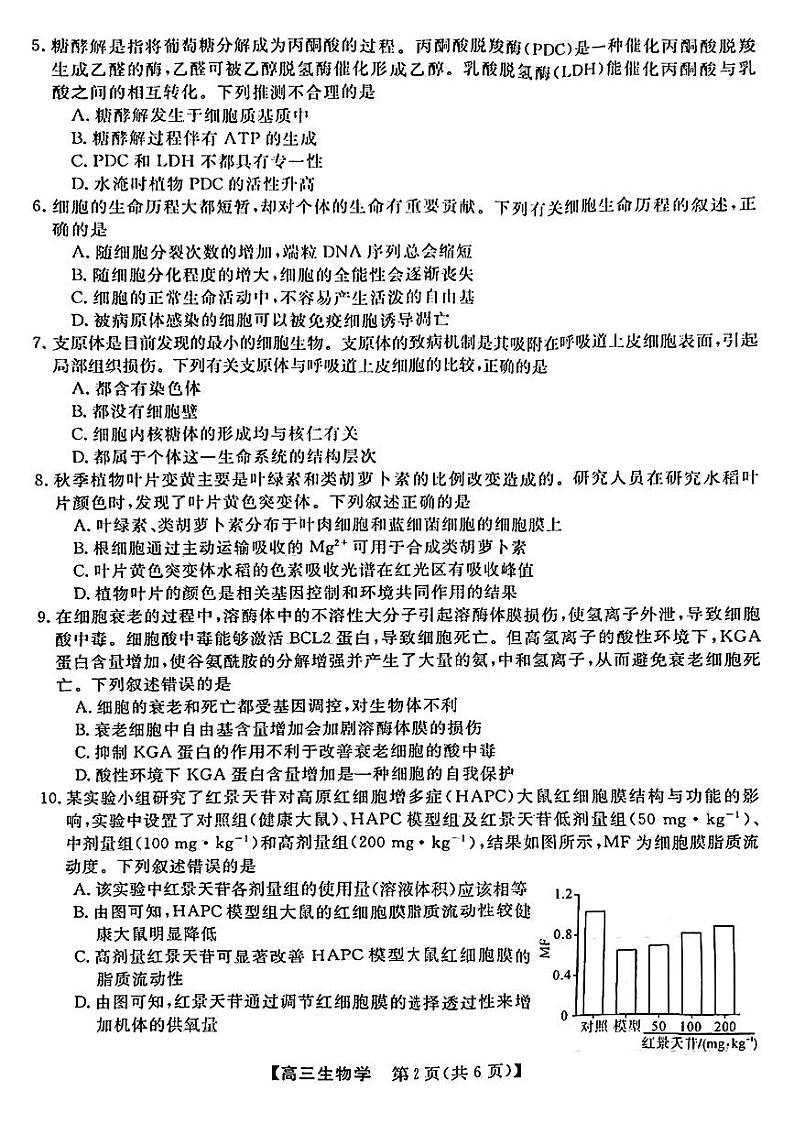 金科大联考·2025届高三上学期9月质量检测生物试题第2页