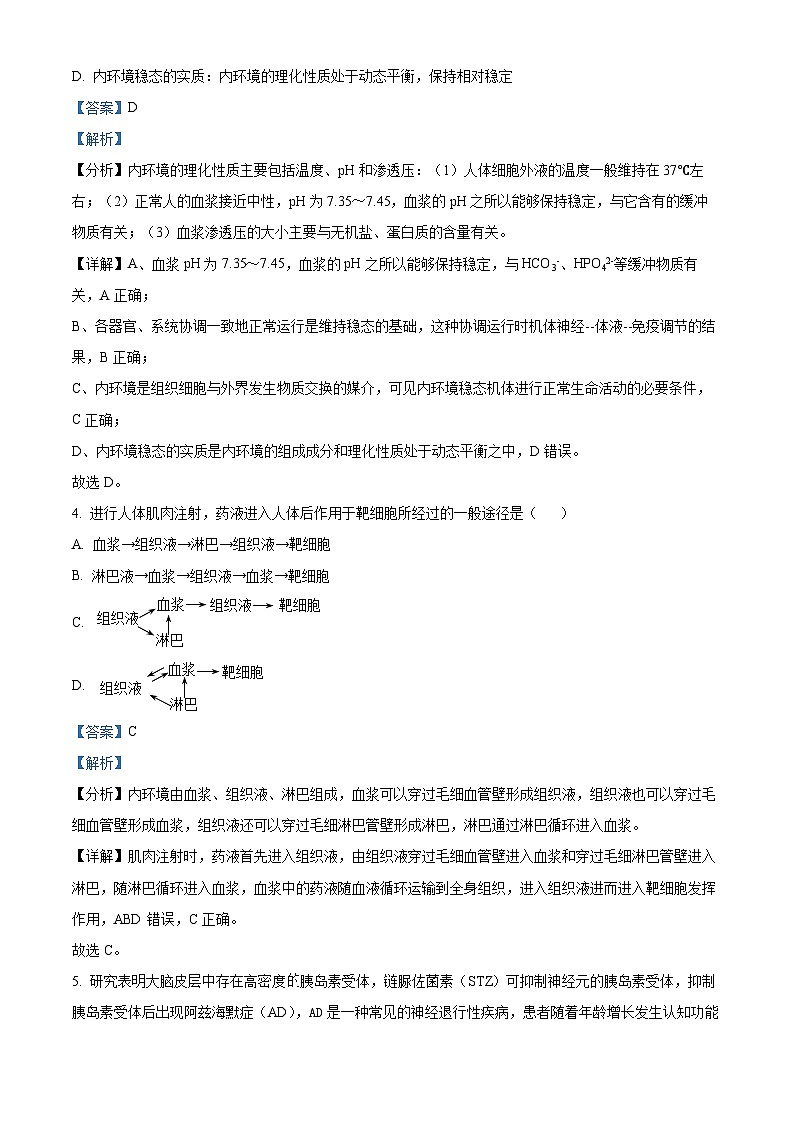 四川省内江市威远中学校2024-2025学年高二上学期期中考试生物试题含解析第2页