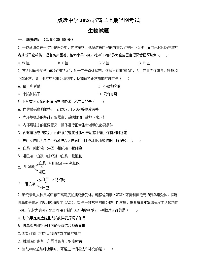 四川省内江市威远中学校2024-2025学年高二上学期期中考试生物试题无答案第1页
