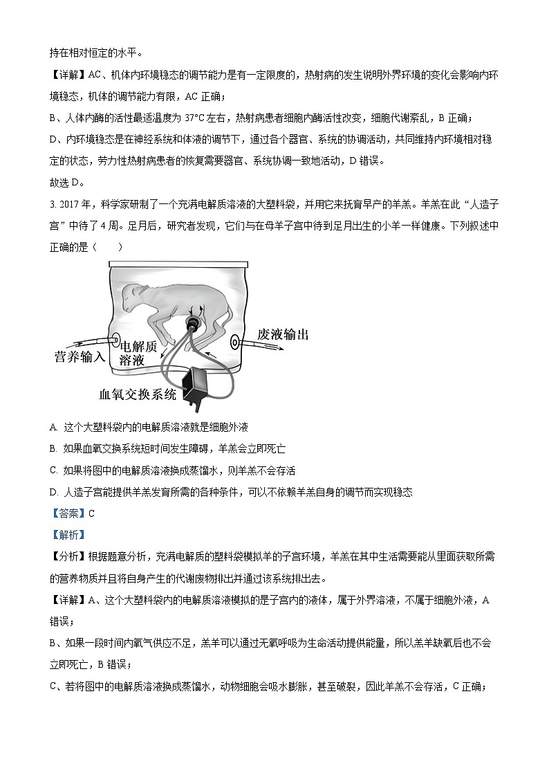 四川省内江市第六中学2024-2025学年高二上学期第一次月考生物试题含解析第2页