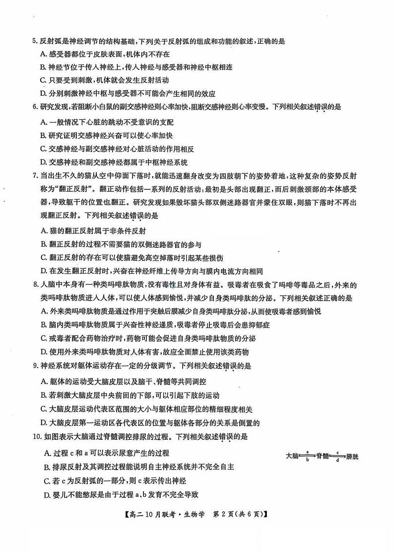 2025洛阳强基联盟高二上学期10月联考试题生物PDF版含解析02