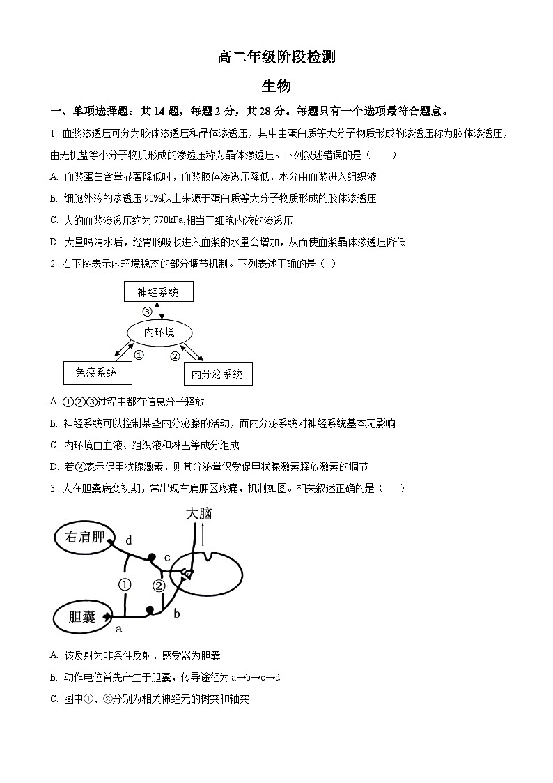 2025江苏省海安高级中学高二上学期10月月考试题生物含答案01