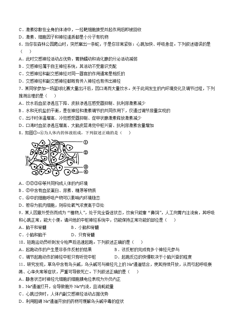 广西壮族自治区百色市凌云县中学2024-2025学年高二上学期11月期中生物试题第2页