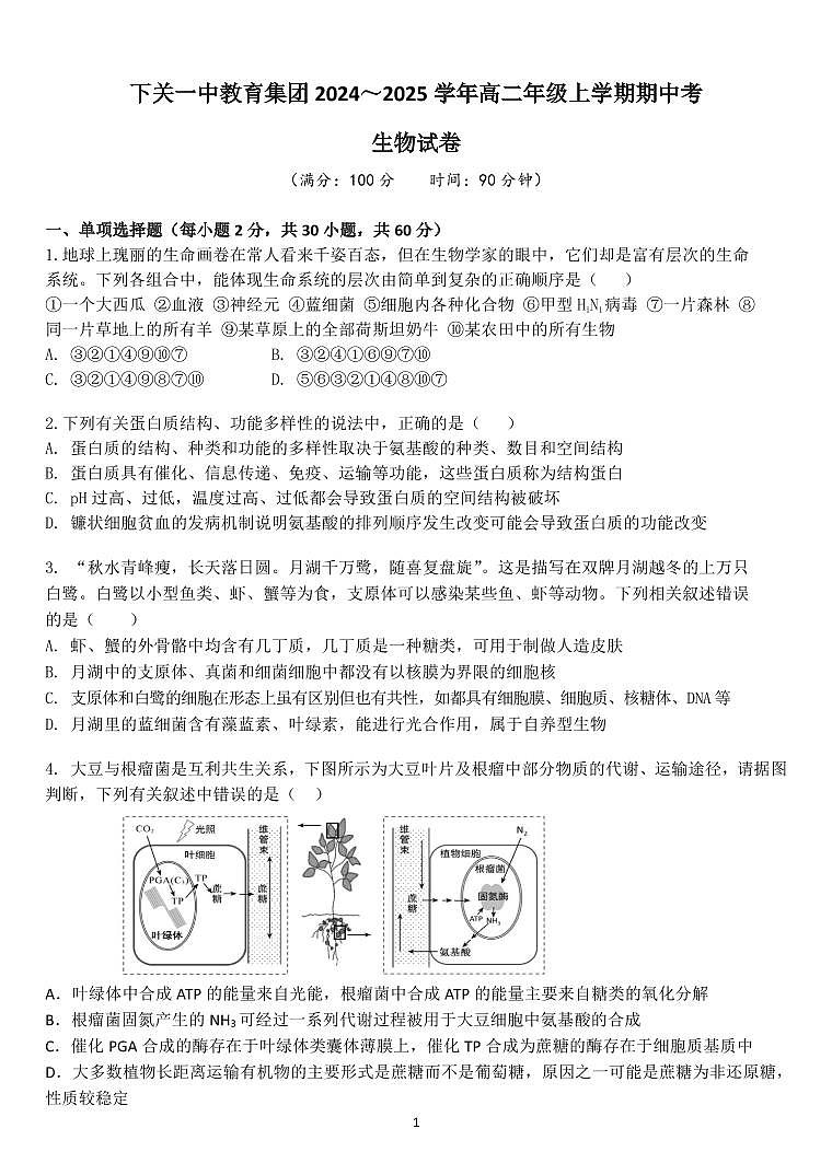下关一中教育集团2024~2025学年高二年级上学期期中考生物试题第1页
