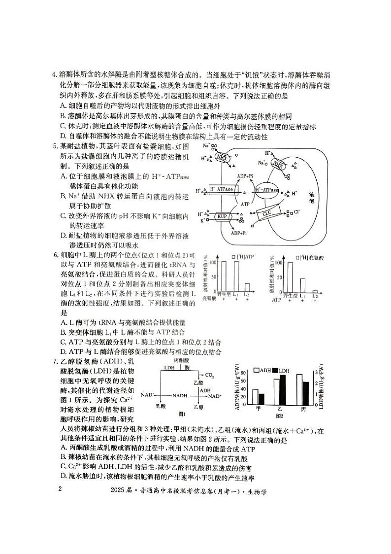 湖南省娄底市2024年下学期高三名校联考生物试题第2页