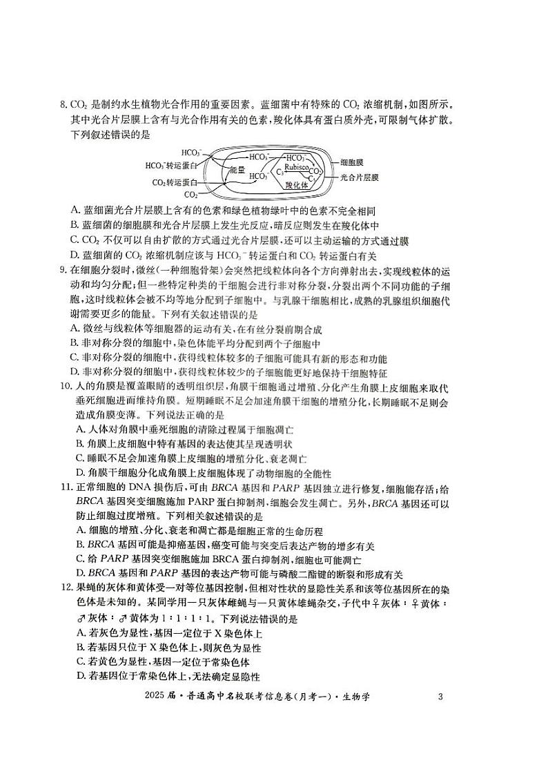 湖南省娄底市2024年下学期高三名校联考生物试题第3页