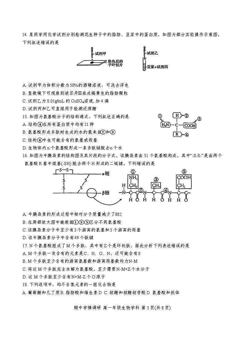 天津市耀华中学2024-2025学年高一上学期11月期中生物试题03
