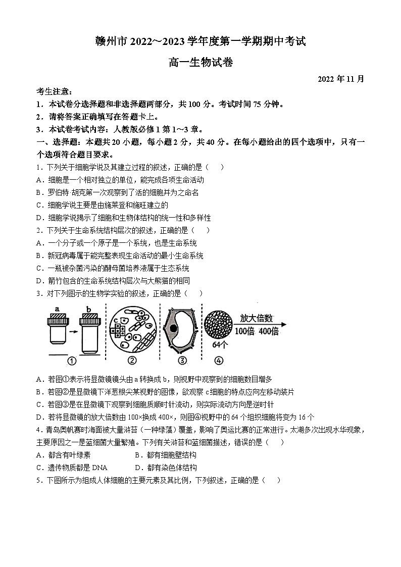 江西省赣州市赣县区实验学校 2022-2023 学年高一上学期期中生物试卷(无答案)01