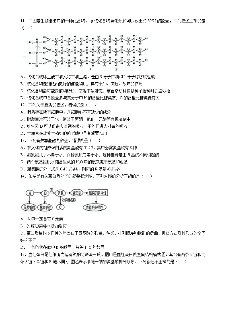 黑龙江省佳木斯市二中2024-2025学年高一上学期期中考试生物试题(无答案)第3页