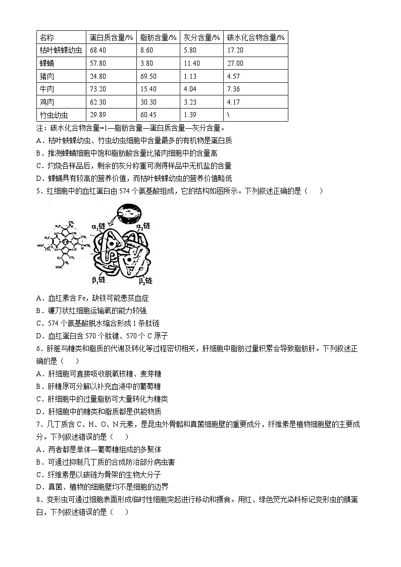 河南省部分学校2024-2025学年高一上学期10月期中检测生物试题第2页