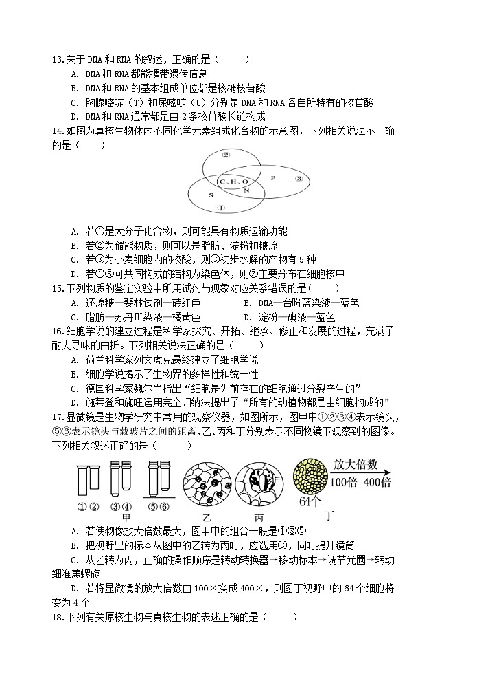 江苏省淮安中学2024-2025学年高一上学期期中生物试卷第3页