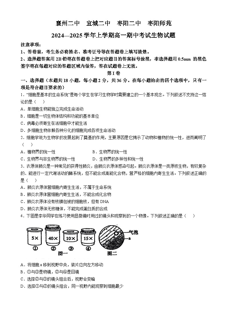 湖北省2024-2025学年高一上学期期中四校联考生物试题第1页