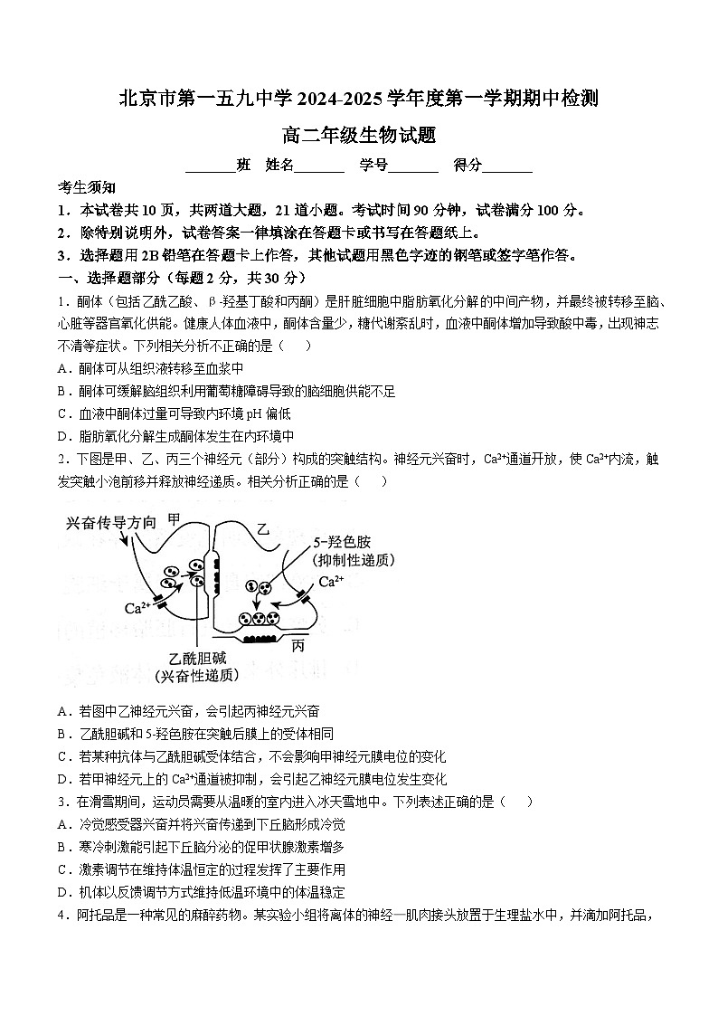 北京市第159中學(xué)2024-2025學(xué)年高二上學(xué)期期中考試生物試卷(無答案)第1頁