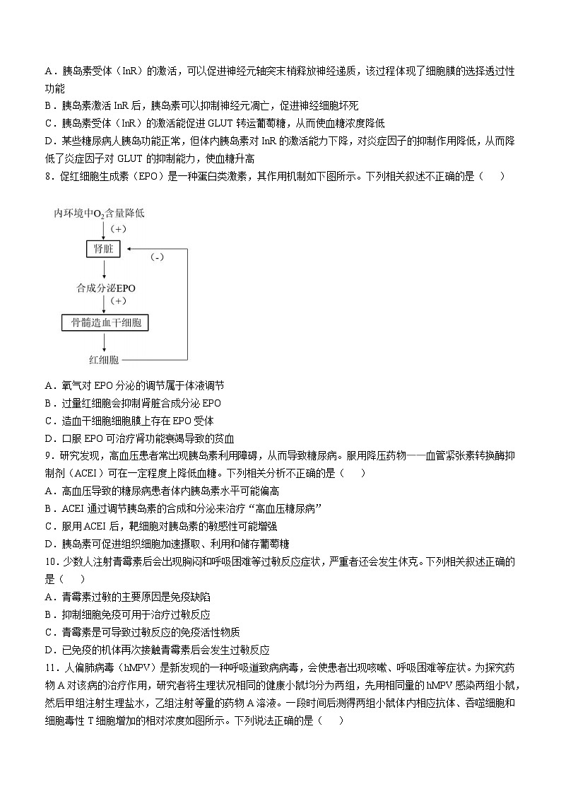 北京市第159中學(xué)2024-2025學(xué)年高二上學(xué)期期中考試生物試卷(無答案)第3頁