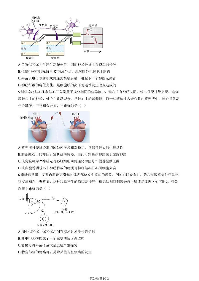 2024北京北师大附中高二上学期期中真题生物试卷第2页