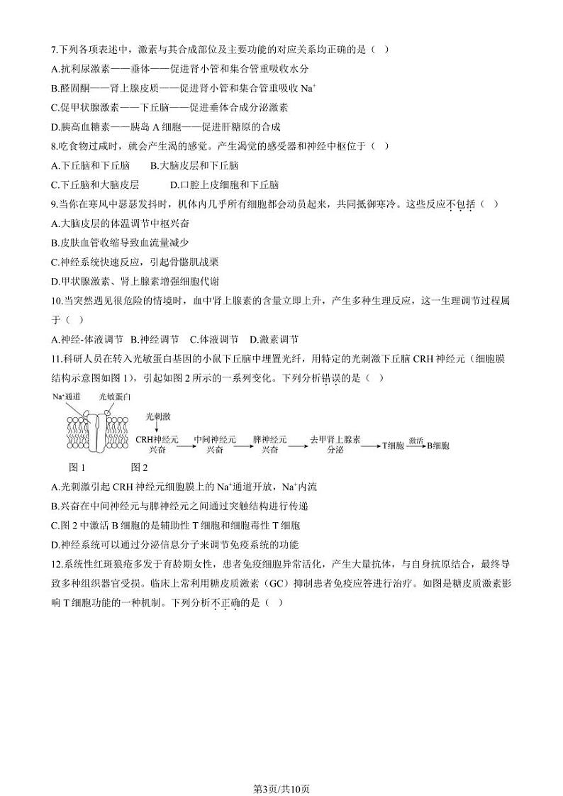 2024北京北师大附中高二上学期期中真题生物试卷第3页