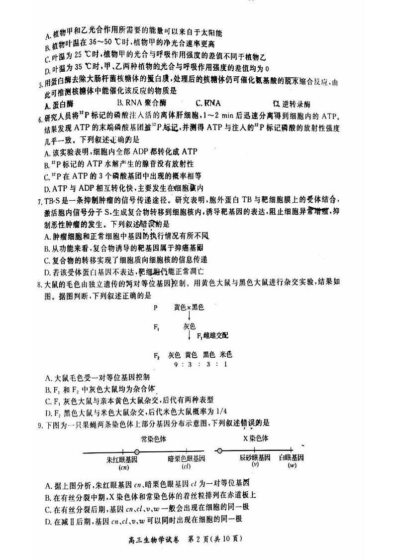 2024北京通州高三上学期期中真题生物试卷第2页