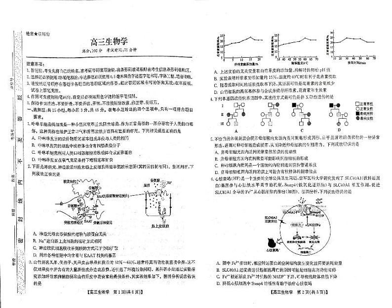 安徽省阜阳市临泉县田家炳实验中学2024-2025学年高三上学期11月期中考试生物试题第1页