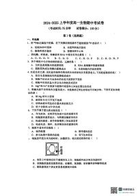 陕西省部分学校2024-2025学年高一上学期11月期中考试生物试题