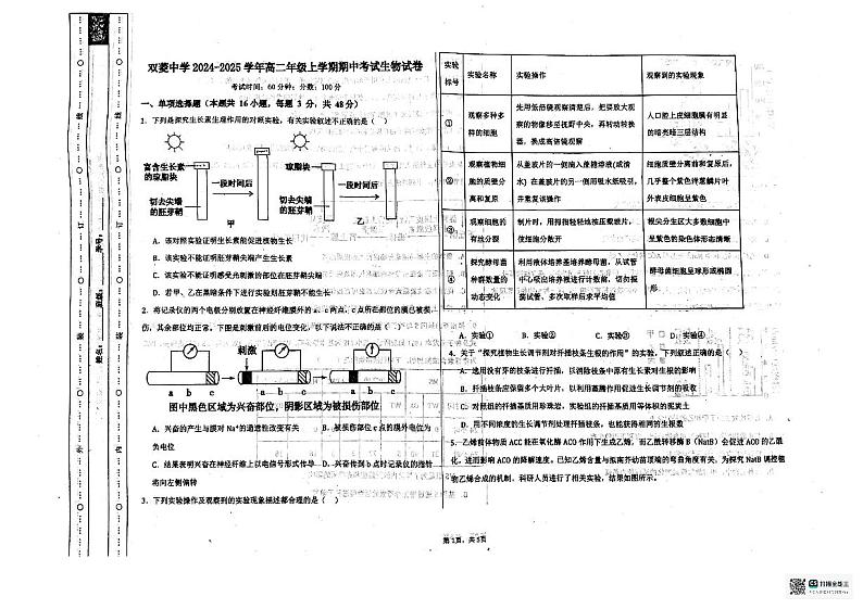 天津市和平区天津市双菱中学2024-2025学年高二上学期11月期中考试生物试题01