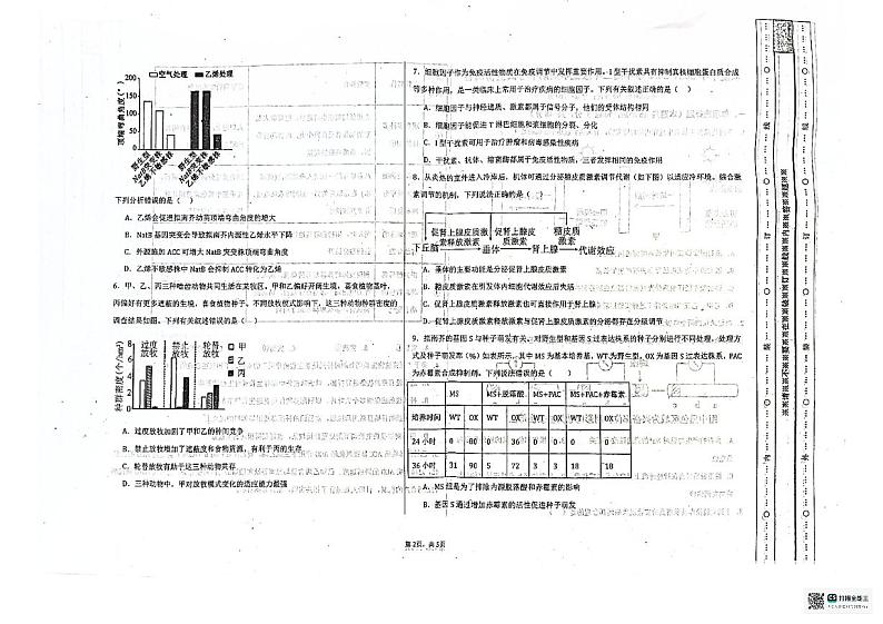 天津市和平区天津市双菱中学2024-2025学年高二上学期11月期中考试生物试题02