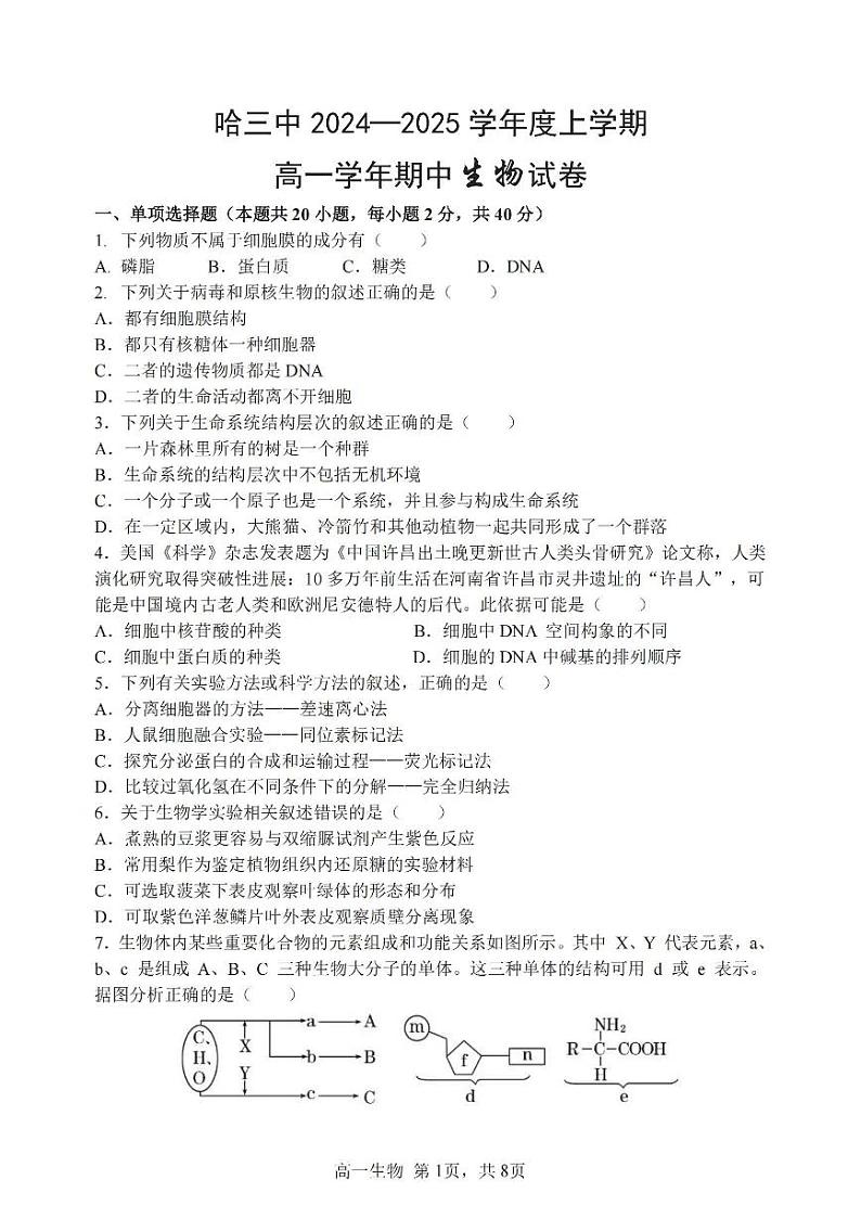 2024哈三中高一(上)生物期中试题及答案第1页