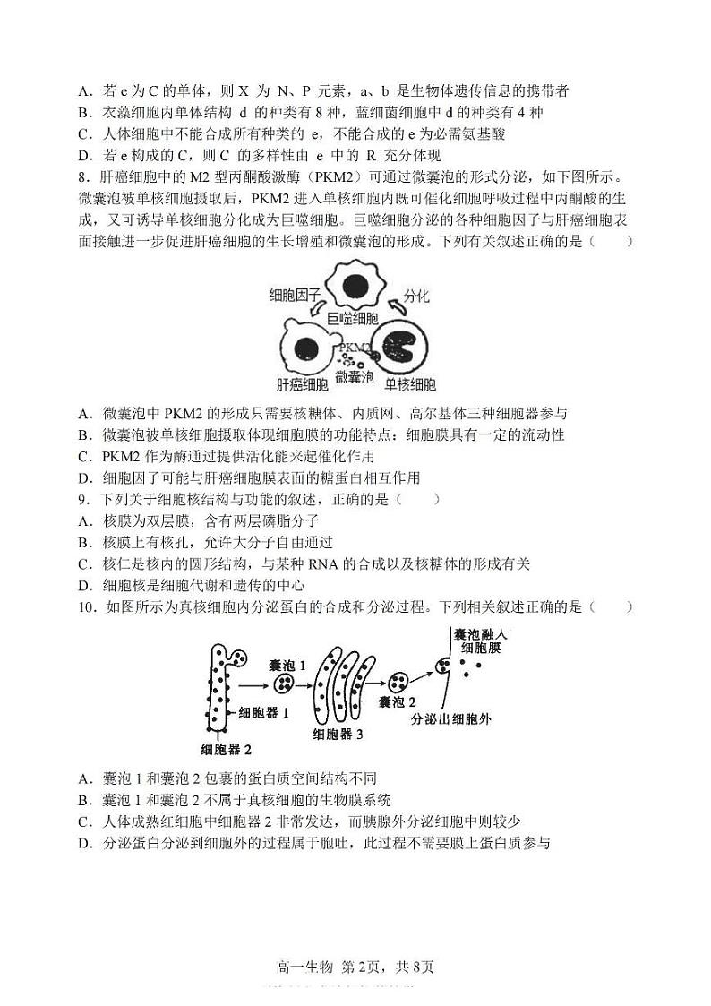 2024哈三中高一(上)生物期中试题及答案第2页