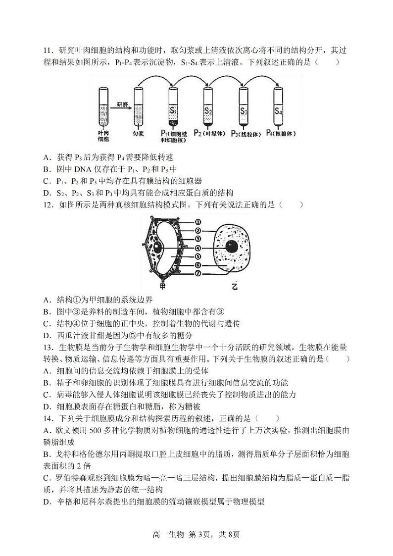 2024哈三中高一(上)生物期中试题及答案第3页