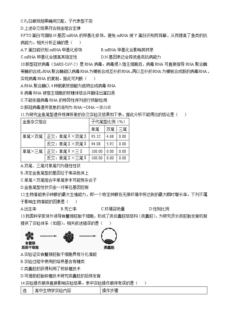 北京市第44中学2024-2025学年高三上学期期中考试生物试题(无答案)03