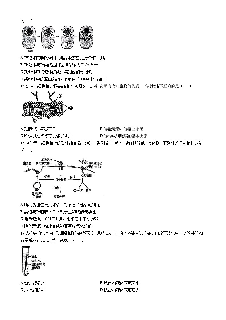 北京市第四十四中学2024-2025学年高一上学期11月期中考试生物试题(无答案)第3页