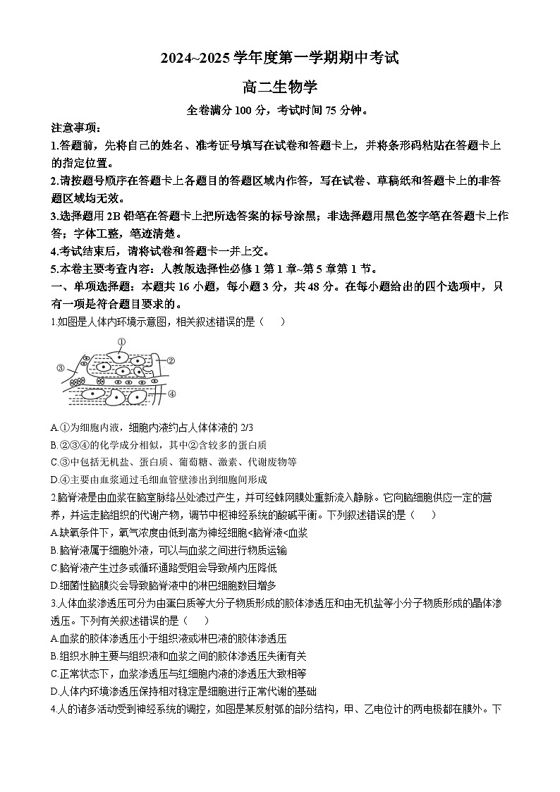 甘肃省多校2024-2025学年高二上学期期中联考生物试卷第1页