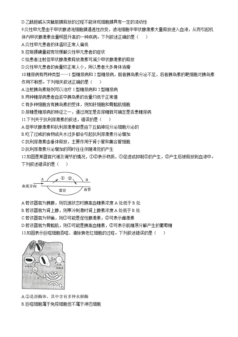 甘肃省多校2024-2025学年高二上学期期中联考生物试卷第3页