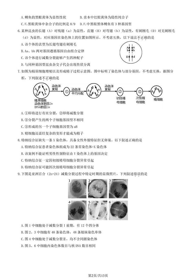 2024北京丰台高一(下)期中生物(A卷)试题及答案第2页