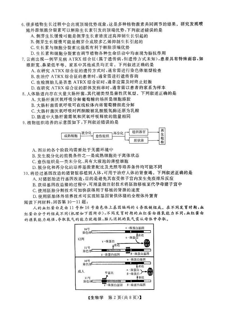 浙江强基联盟2024学年高三上学期10月联考生物试题02