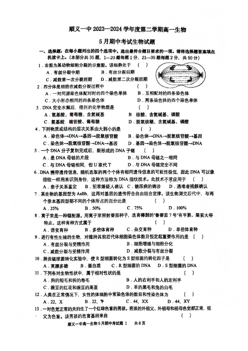 2024北京顺义一中高一（下）期中生物试题及答案