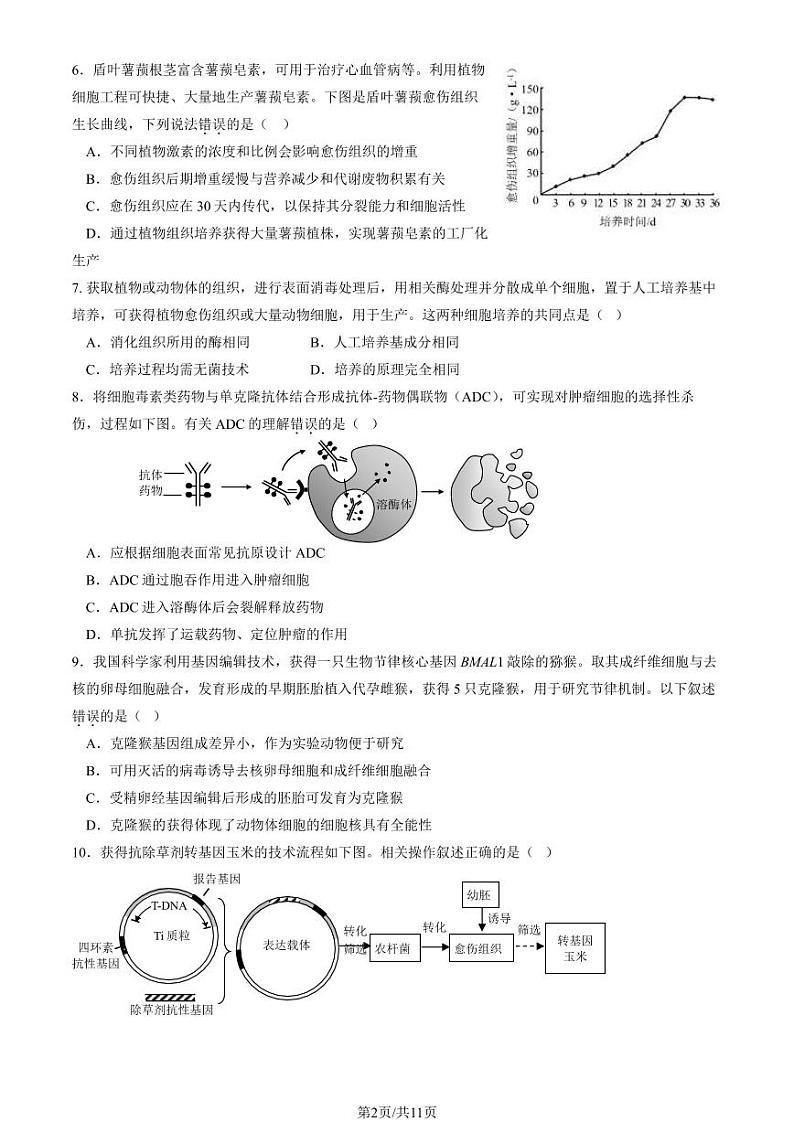 2024北京丰台高二(下)期中生物(A卷)试题及答案第2页