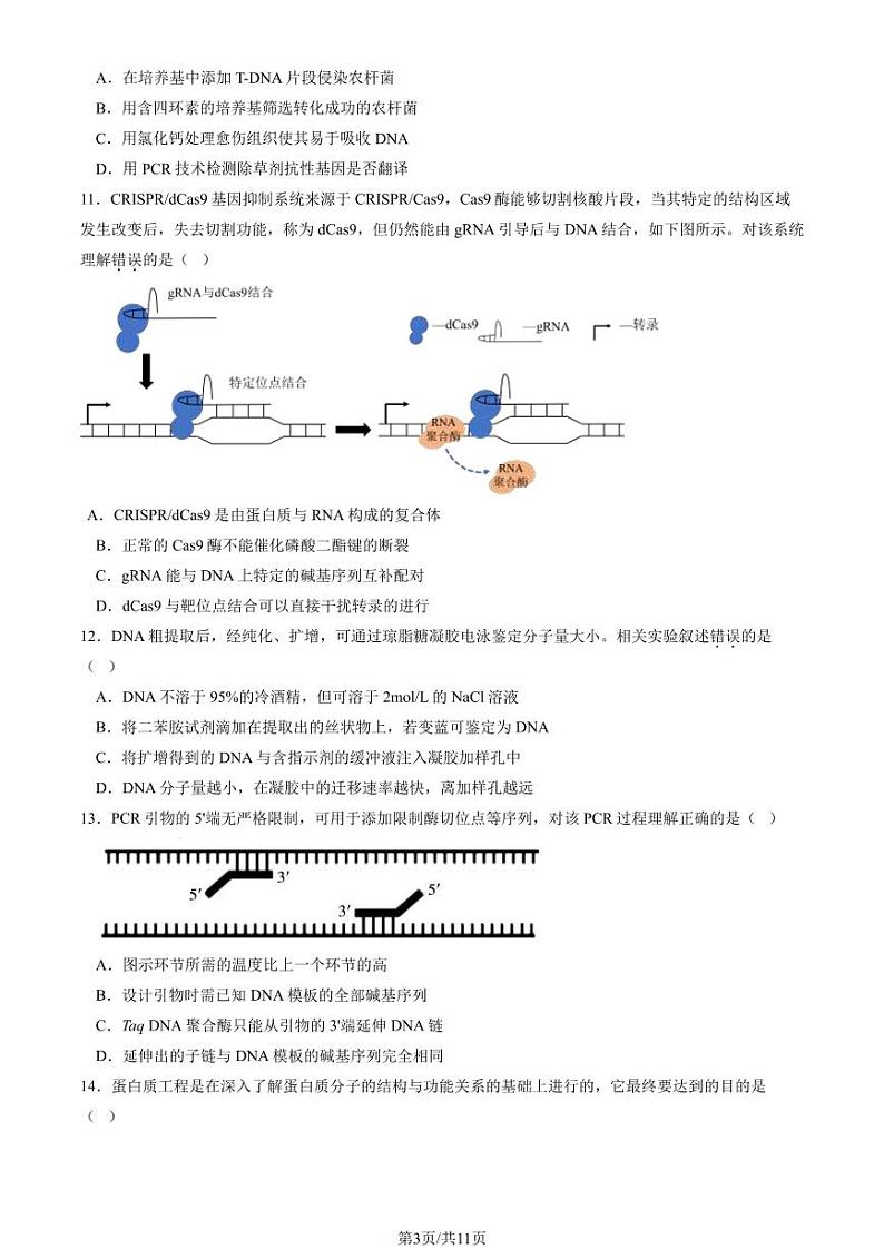 2024北京丰台高二(下)期中生物(A卷)试题及答案第3页